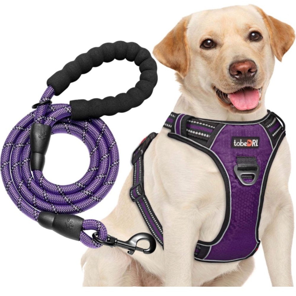 tobeDRI Dog Harness Adjustable fits Medium/Large dog & a Heavy Duty 5ft Leash